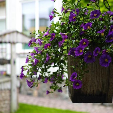 Appartamento Adomo Rojus Palanga Esterno foto